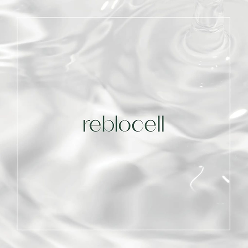 Reblocell Official 영상사진
