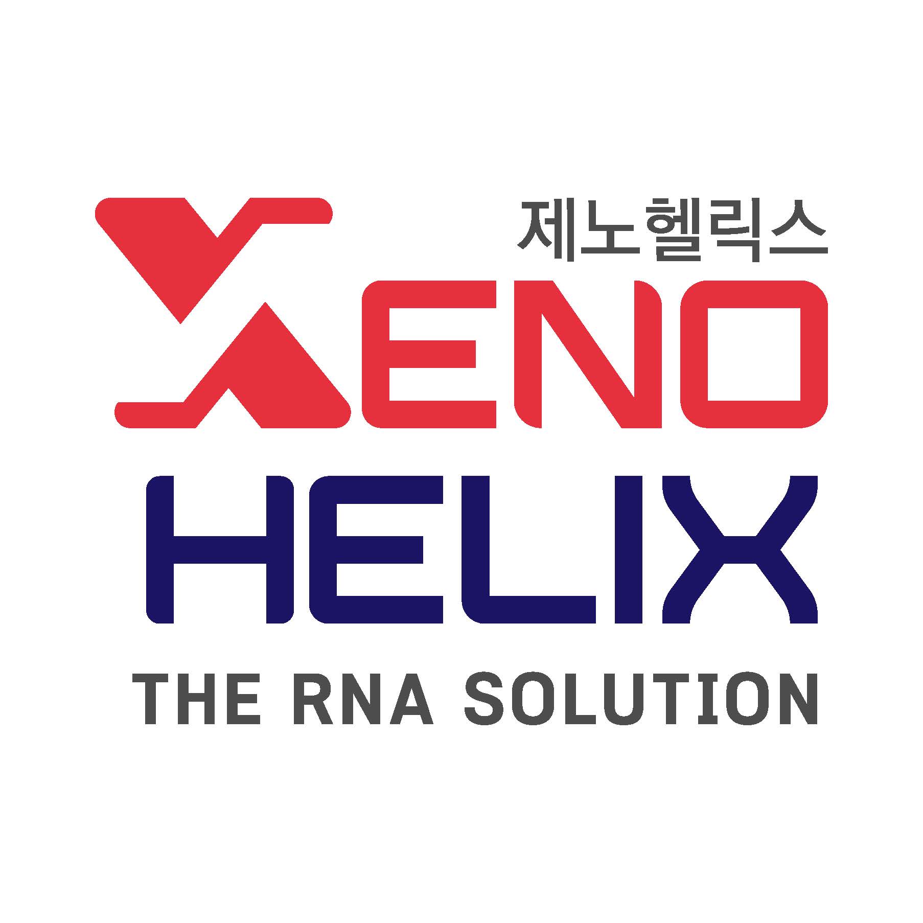 (xenohelix)-_200813-out_페이지_2.jpg