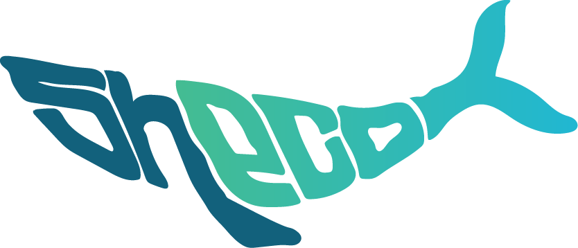 logo_original.png