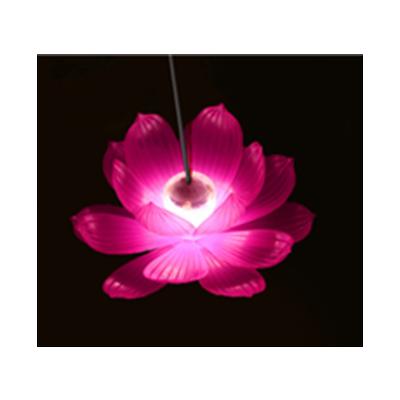 LED경관조명기구 사진