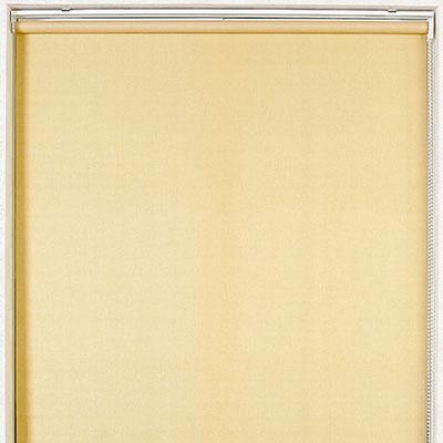 롤업셰이드 사진