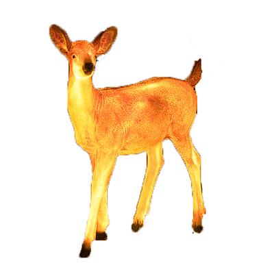 LED경관조명기구 사진