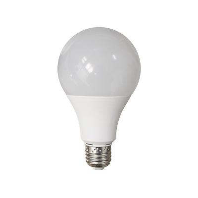 LED램프 사진