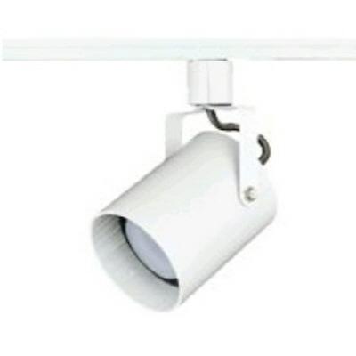 LED다운라이트 사진