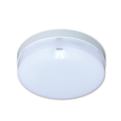 LED실내조명등 사진