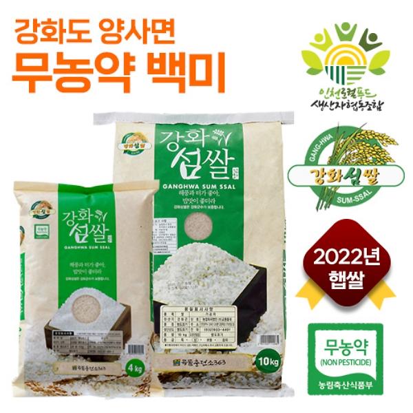 강화도 친환경 무농약 추청 쌀눈 백미 10kg 4kg 사진