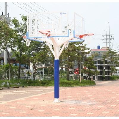 농구대 사진