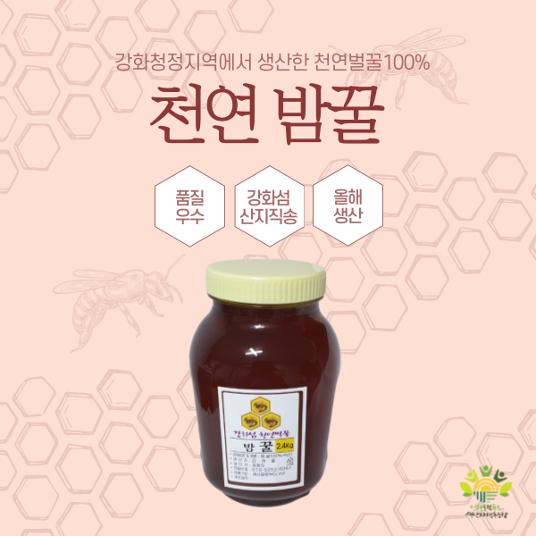 강화 천연 벌꿀 밤꿀 - 1.2kg, 2.4kg 사진