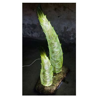 LED경관조명기구 사진