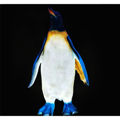 LED경관조명기구 사진