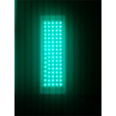 바닥형보행신호등 사진