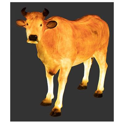 LED경관조명기구 사진