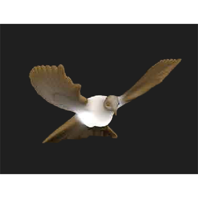 LED경관조명기구 사진