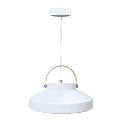 LED실내조명등 사진