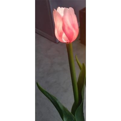 LED경관조명기구 사진