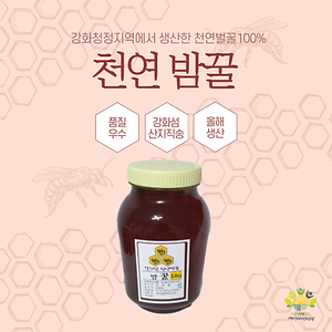 강화 천연 벌꿀 밤꿀 - 1.2kg, 2.4kg 사진
