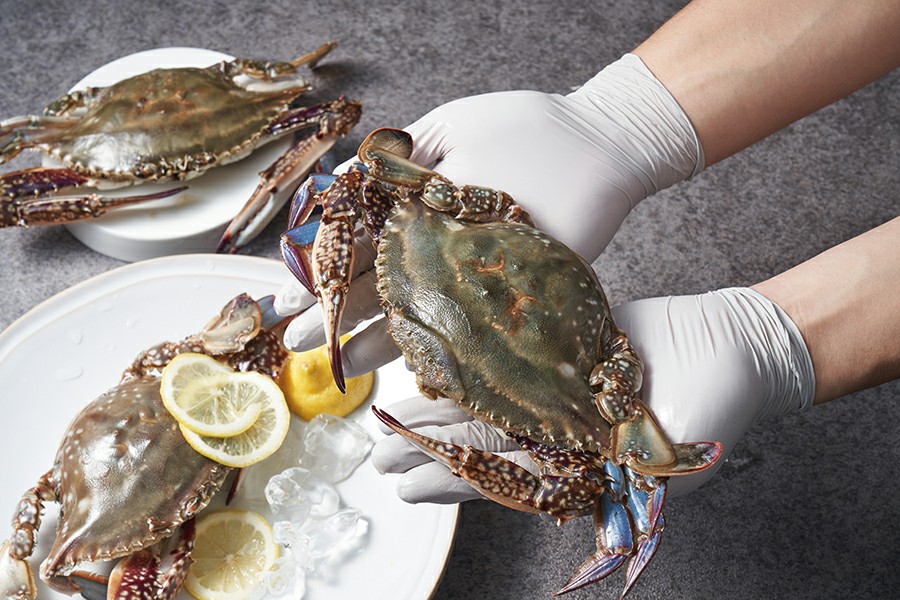 연평도명품꽃게 사진